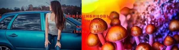 хмурый Армянск