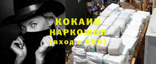 стафф Новозыбков